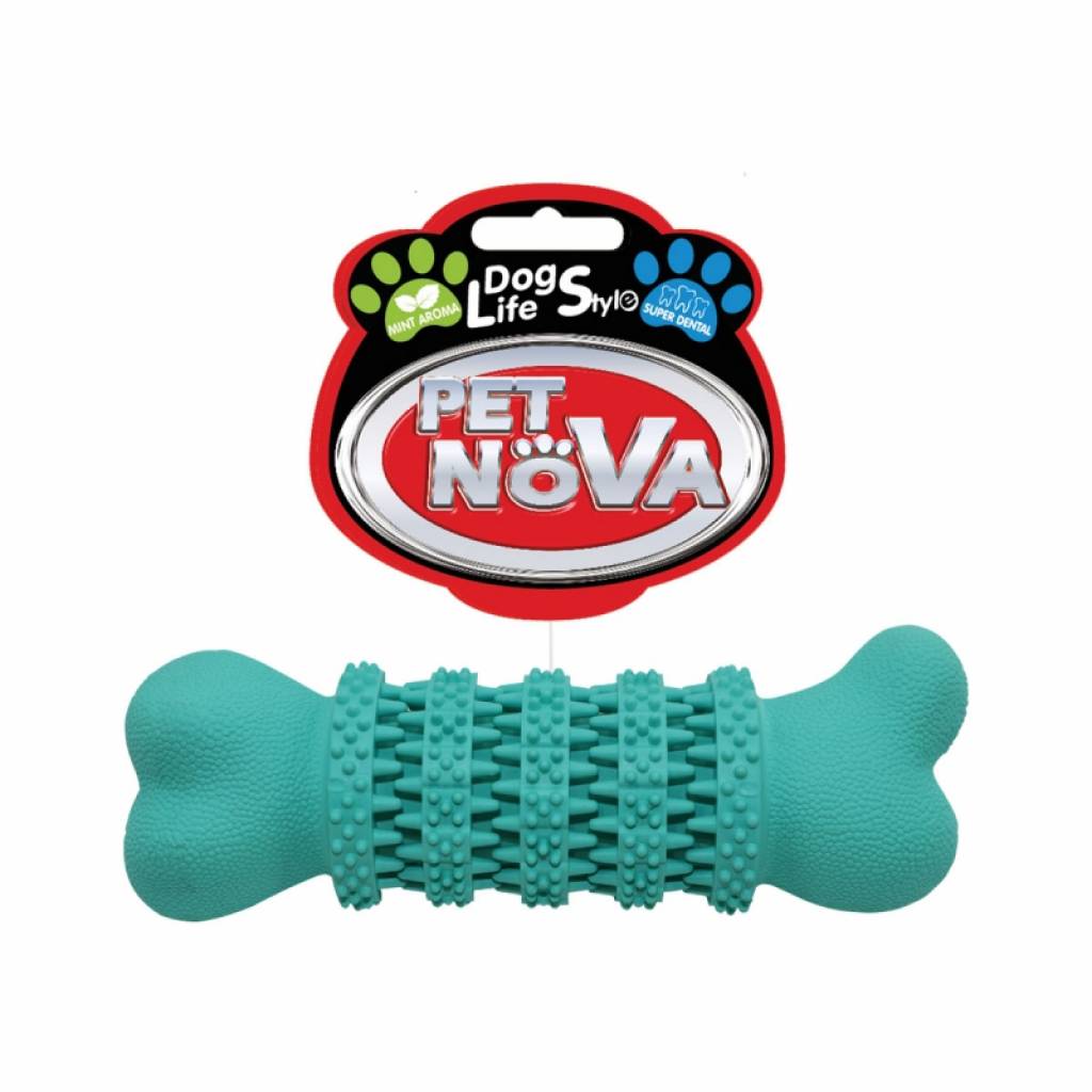 DOG LIFE STYLE Zahnbeißring, 13 cm, Mintfarbe und -aroma,